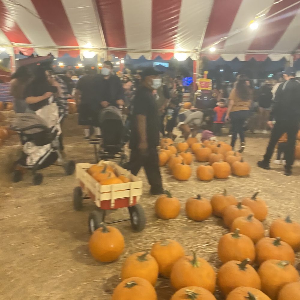 Whittier Christmas trees - Pumpkin Patches Near Me - Whittier, California Whittier Christmas trees - Pumpkin Patches Near Me - Whittier, California