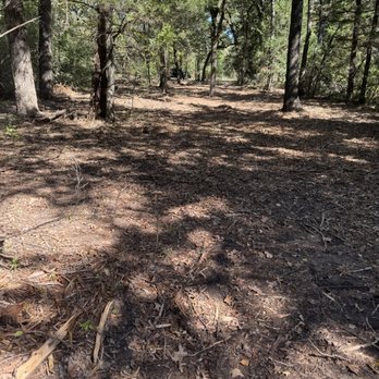 B & C Contracting - Land clearing - Septic Services Near Me - Richland, Texas B & C Contracting - Land clearing - Septic Services Near Me - Richland, Texas