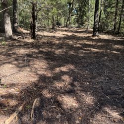 B & C Contracting - Land clearing