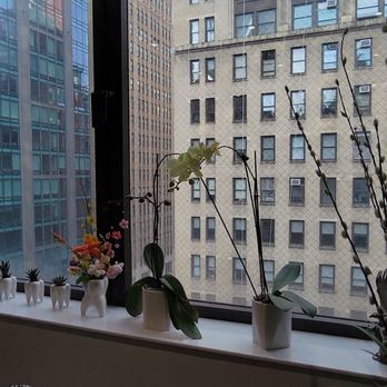 Ziar Dental - General Dentistry Near Me - New York, New York Ziar Dental - General Dentistry Near Me - New York, New York