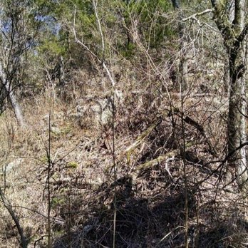 Emma Long Park Turkey Creek Trail - Hiking Near Me - Austin, Texas