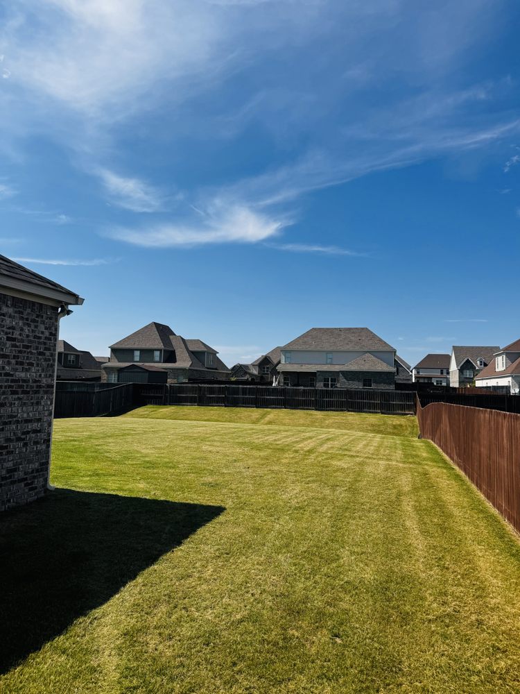 Dyno Lawn Services - tree service in Montgomery, AL