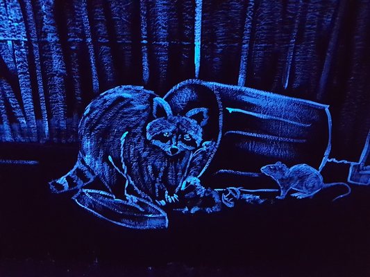 Stanley Park Railway by null