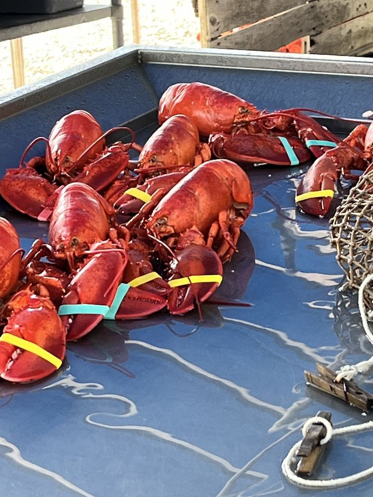 BEACH LOBSTER & FARMSTAND Updated July 2024 24 Photos & 13 Reviews