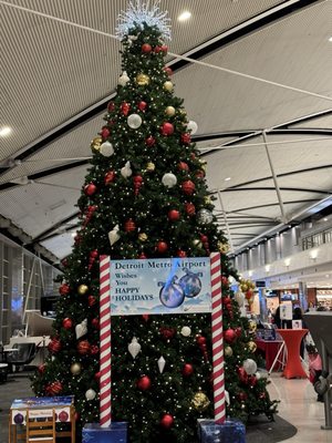 Detroit Metropolitan Wayne County Airport by null