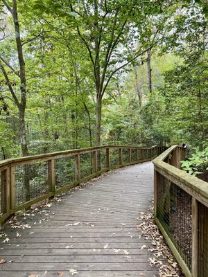 Congaree National Park by null Congaree National Park by null
