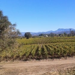 Lou's Wine Tours
