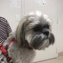 Photo of Fruitport Animal Hospital