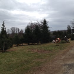 Joe's Christmas Tree Farm