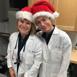 Natural Dentist Associates - Dr. Baer and Dr. Tipograph are Holiday ready!