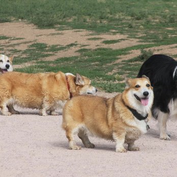 Agape Acres Kennel - Pet Boarding Near Me - Austin, Texas Agape Acres Kennel - Pet Boarding Near Me - Austin, Texas