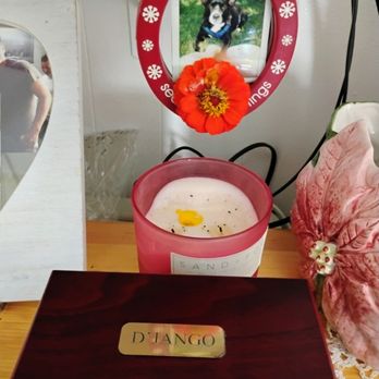 All City Pet Cremation - D'jango 5/6/12- 7/29/25 - Pet Cremation Services Near Me - Ozone Park, New York All City Pet Cremation - D'jango 5/6/12- 7/29/25 - Pet Cremation Services Near Me - Ozone Park, New York