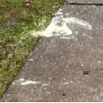 Paint For Less - example of many spilled paint areas on driveway also paint splatters and drips everywhere. did not use drop cloths - Painters Near Me