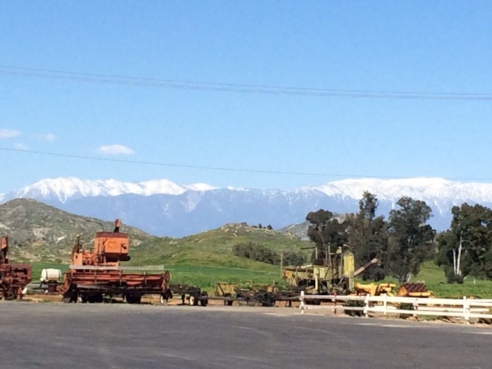 WINCHESTER FARMS 78 Photos & 52 Reviews Farmers Market 27400