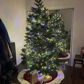 Debbie and Jeff's - Our tree (photo taken on the second night Dec 4th) with white lights - Christmas Trees Near Me - Redondo Beach, California Debbie and Jeff's - Our tree (photo taken on the second night Dec 4th) with white lights - Christmas Trees Near Me - Redondo Beach, California