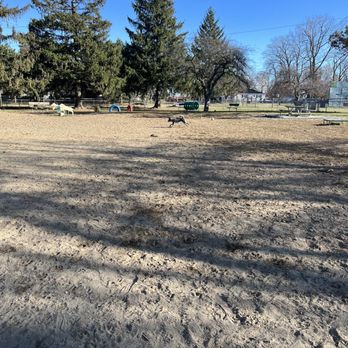Behnke Memorial Dog Park - Dog Parks Near Me - Mount Clemens, Michigan Behnke Memorial Dog Park - Dog Parks Near Me - Mount Clemens, Michigan