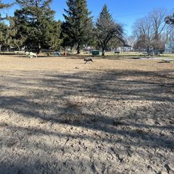 Behnke Memorial Dog Park