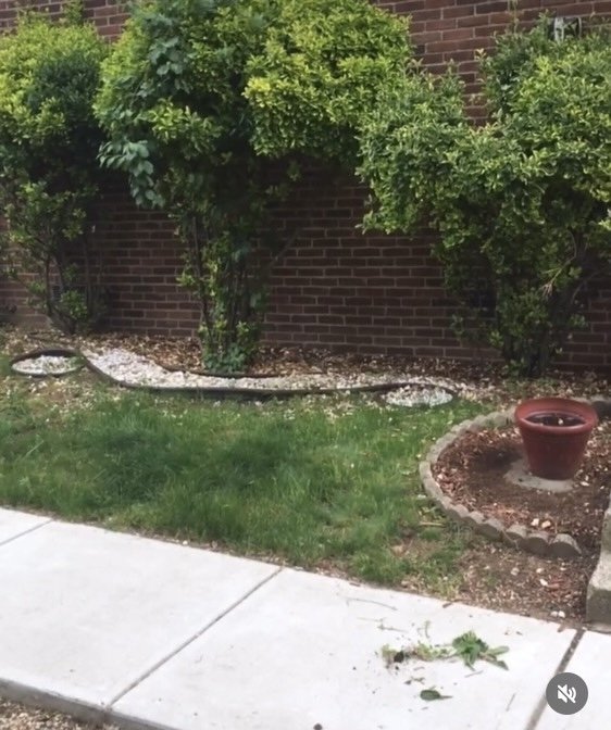 Slide of Community Wealth Group Economics