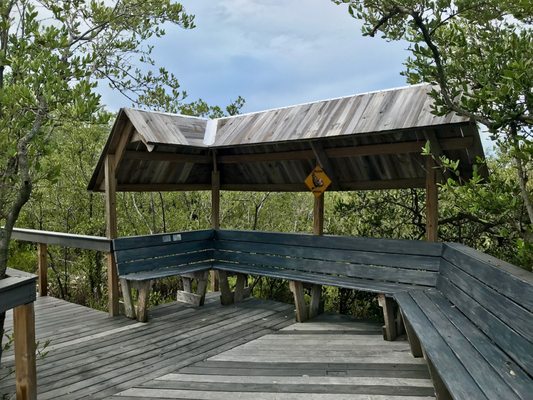 Wild Bird Sanctuary - Florida Keys Wild Bird Center by null