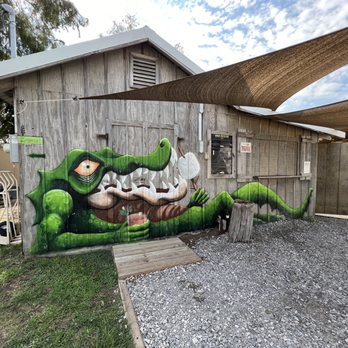 Ultimate Swamp Adventures - Tours Near Me - Westwego, Louisiana Ultimate Swamp Adventures - Tours Near Me - Westwego, Louisiana