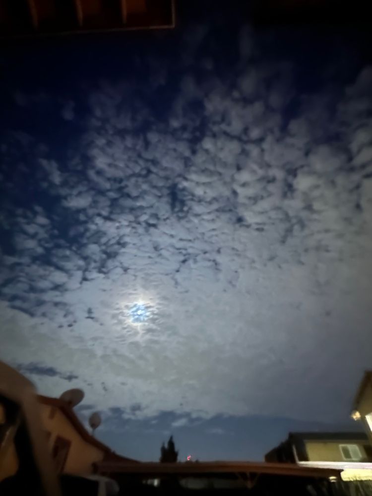 Social Security - social services organization in El Cajon, CA