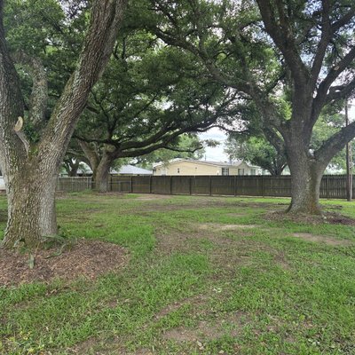 Abide Tree Service on Yelp