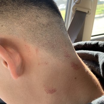 Supercuts - CUTS ALL OVER HIS HEAD!!! NOT JUST ONE. - Hair Salons Near Me - Elk Grove, California