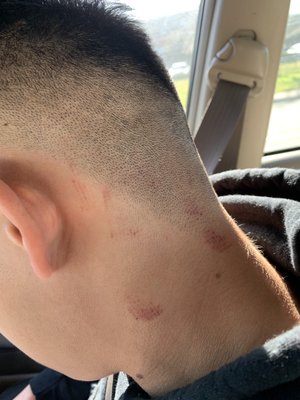 Supercuts 7711 Laguna Blvd Elk Grove Ca Beauty Salons Equipment Supplies Mapquest