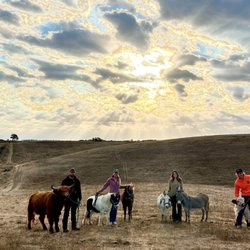 Paso Robles Pastures