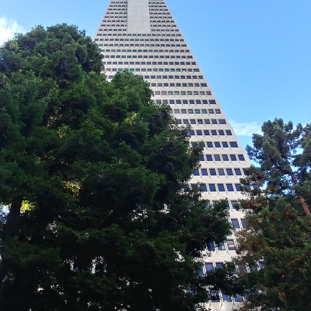 Free Tours by Foot - TransAmerica Building - Walking Tours Near Me - San Francisco, California Free Tours by Foot - TransAmerica Building - Walking Tours Near Me - San Francisco, California