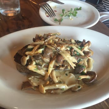 Gjelina - Mushroom toast - New American Near Me - Venice, California