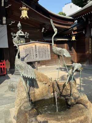 Kushida Shrine by null