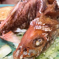 Mariscos El Paso And Taqueria - Red Snapper
