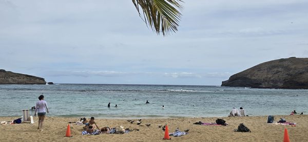 Hanauma Bay by null Hanauma Bay by null