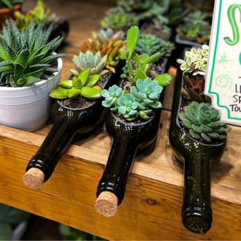 Trader Joe's - Plants in north one bottles - Grocery Near Me - Dallas, Texas Trader Joe's - Plants in north one bottles - Grocery Near Me - Dallas, Texas