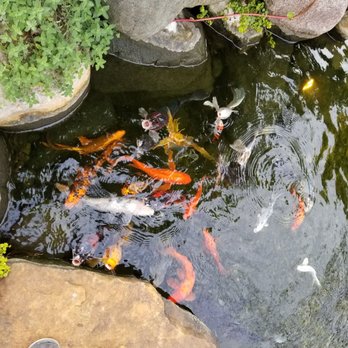 Cool Ponds - Home & Garden Near Me - Indianapolis, Indiana Cool Ponds - Home & Garden Near Me - Indianapolis, Indiana
