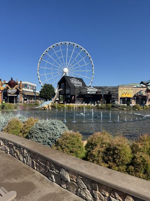 The Island in Pigeon Forge by null