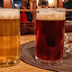 Hallesches Brauhaus - Hell und Dunkel (01/2023)