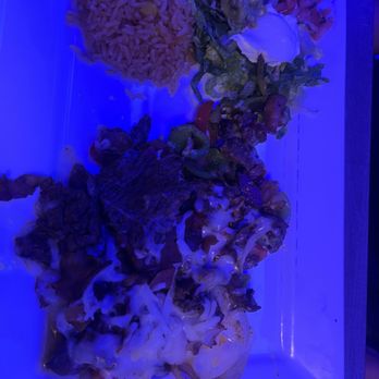 Corazon Cocina Mexicana - Mexican Near Me - Orlando, Florida Corazon Cocina Mexicana - Mexican Near Me - Orlando, Florida