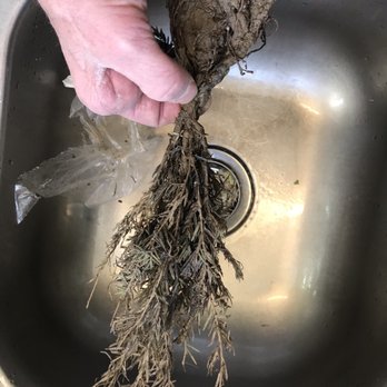 Direct Gardening - Bone dry on arrival - Nurseries & Gardening Near Me - Bloomington, Illinois