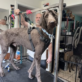 1. 4 Paws Pet Salon