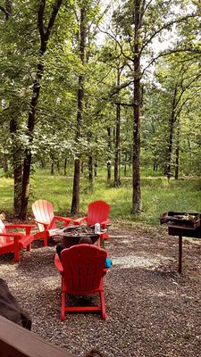 Beaver visual data 5