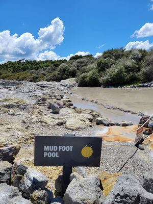 Hell's Gate Geothermal Reserve and Mud Spa by null