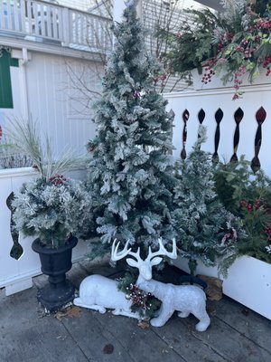 Zak & Mac's Chocolate Haus by null