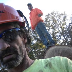Collins Tree Service