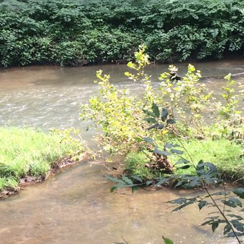 Raccoon Creek State Park - Picture of creek you walking into when walking along the Audubon trail. - Parks Near Me - Hookstown, Pennsylvania Raccoon Creek State Park - Picture of creek you walking into when walking along the Audubon trail. - Parks Near Me - Hookstown, Pennsylvania
