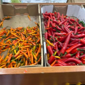 Farmer's India Market - International Grocery Near Me - Orange, Connecticut Farmer's India Market - International Grocery Near Me - Orange, Connecticut
