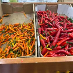 Farmer's India Market