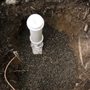 DNA Plumbing