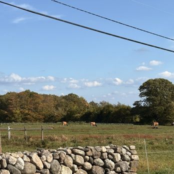 Benedikt Dairy - One of the pastures with a few of the herd. - CSA Near Me - Goffstown, New Hampshire